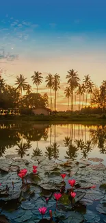 Tropical sunset with palms and water lilies reflecting on a lake.