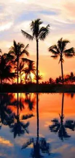 Tropical sunset with palm tree reflections on calm water.