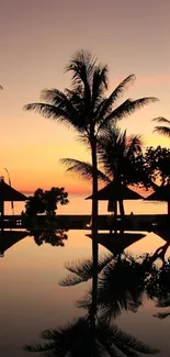 Tropical sunset with palm trees reflecting on calm waters.