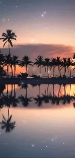 Tropical sunset with palm trees reflected in calm water.