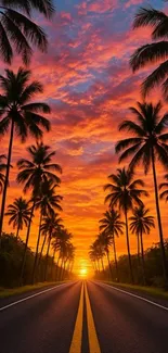 Tropical sunset road with vibrant skies and palm trees.