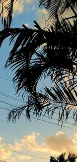 Tropical sunset with palm tree silhouette against a vibrant blue sky.