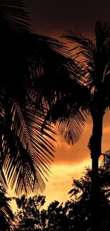 Palm tree silhouette against orange sunset sky.