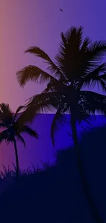 Tropical sunset wallpaper with palm trees and gradient sky.