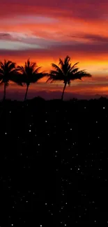 Tropical sunset with palm silhouettes and starry night sky on mobile wallpaper.