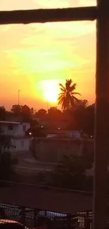 Tropical sunset through a window with a silhouetted palm tree.