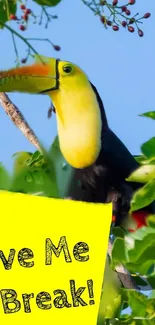 Toucan bird with 'Give Me A Break!' text in a lush green setting.