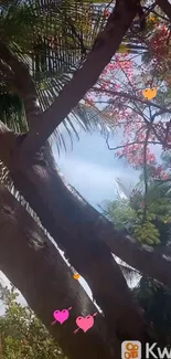 Tropical tree with colorful heart accents under a blue sky.