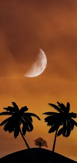 Silhouetted palms under crescent moon in orange sunset backdrop.