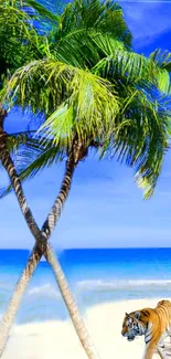 Tropical beach with palm trees and a tiger under a clear blue sky.