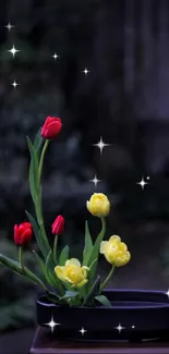 Vibrant red and yellow tulips in a garden setting.