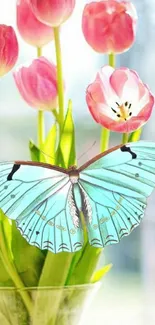 Blue butterfly on pink tulips, vibrant phone background.