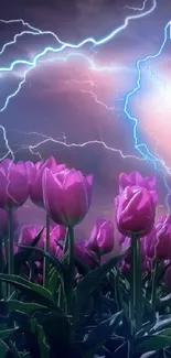 Purple tulips with lightning in the sky background.