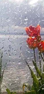 Vibrant tulips by a serene lake under a cloudy sky.