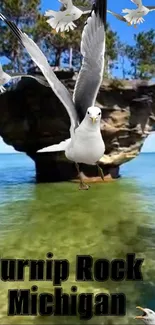 Turnip Rock in Michigan surrounded by seagulls and blue waters.