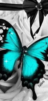 Turquoise butterfly with gems on white roses background.