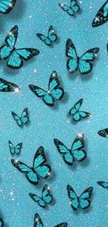 Turquoise butterflies with sparkly background mobile wallpaper.