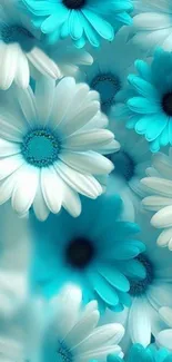 Turquoise and white floral wallpaper with daisies.