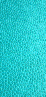 Turquoise textured wallpaper with a dotted pattern for mobile phones.