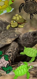 Nature-inspired wallpaper with real and cartoon turtles.