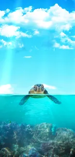 Turtle swimming in clear blue ocean with clouds above.