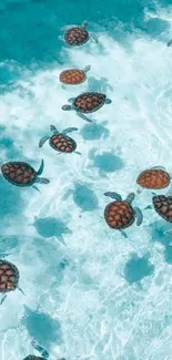 Turtles swimming in clear blue waters.