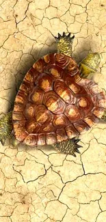 Turtle walking on cracked, dry earth texture.