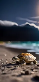 Turtle on beach with solar eclipse overhead.