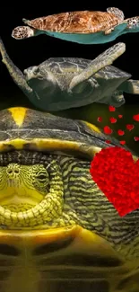 Three turtles with a red heart on a dark background.