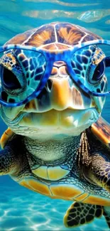 Turtle wearing sunglasses underwater, vibrant and fun wallpaper.