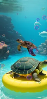 Turtles floating in clear blue water, with fish and rocks around.