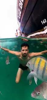 Person swimming underwater, surrounded by colorful fish.