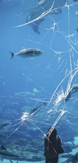 A serene underwater aquarium scene with various fish swimming.