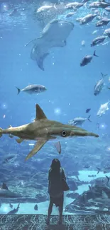 Woman watching sharks swim in a vast aquarium.