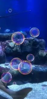 Underwater scene with bubbles and rocks in a blue marine setting.