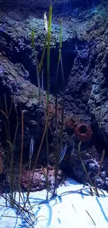 Underwater cave scene with marine life and vivid rock formations.