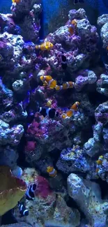 Vibrant coral reef with clownfish in vivid blue waters.