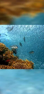 Underwater scene with coral reefs and fish.