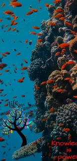 Vibrant coral reef with fish and educational text on an ocean-themed wallpaper.