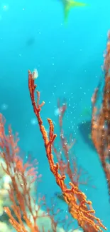 Vibrant underwater coral with blue ocean background.