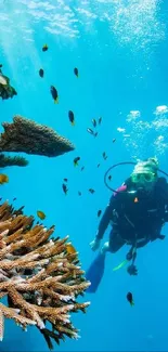 Scuba divers exploring the colorful coral reef in Queensland, Australia.