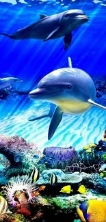 Vibrant underwater wallpaper with dolphins, coral reef, and colorful fish.