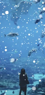 A person viewing an aquarium with fish and bubbles in a calming blue scene.