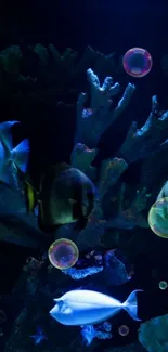 Vibrant underwater scene with fish and bubbles.