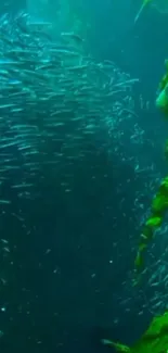 A vibrant underwater scene with fish and seaweed.