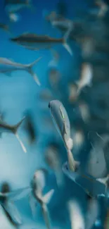 A vibrant underwater fish swarm in a deep blue ocean background.