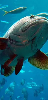 Majestic fish swimming in a blue underwater ocean scene.