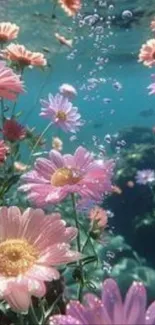 Enchanting underwater scene with pink flowers and bubbles.