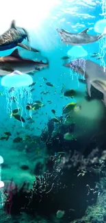 Underwater scene with sharks, dolphins, and jellyfish in vibrant teal waters.