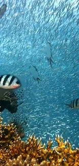 Vibrant underwater scene with coral and fish in blue ocean.